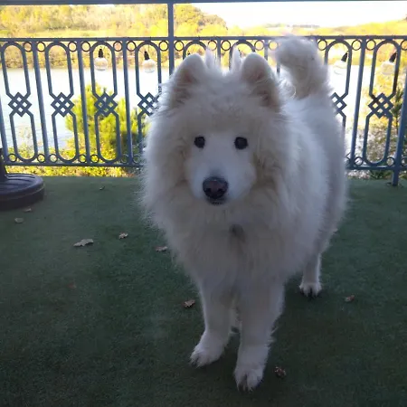 Appartement Au Calme Face Au Marciac